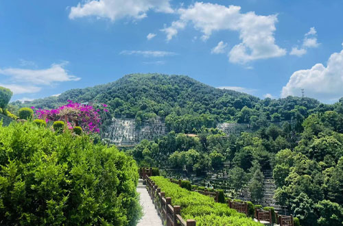 龙居山福康苑后山