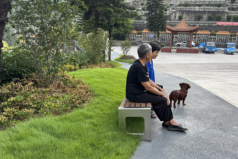 重阳菊黄时，山风捎来的思念——龙居山陵园的三个请安故事